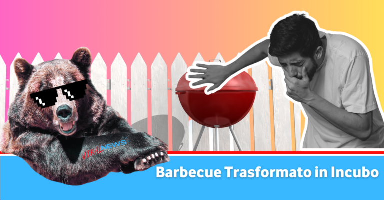 barbecue carne orso infetta