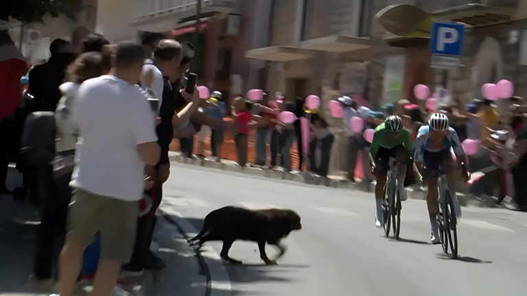 giro d'italia pompei cusano cane tragedia ciclisti