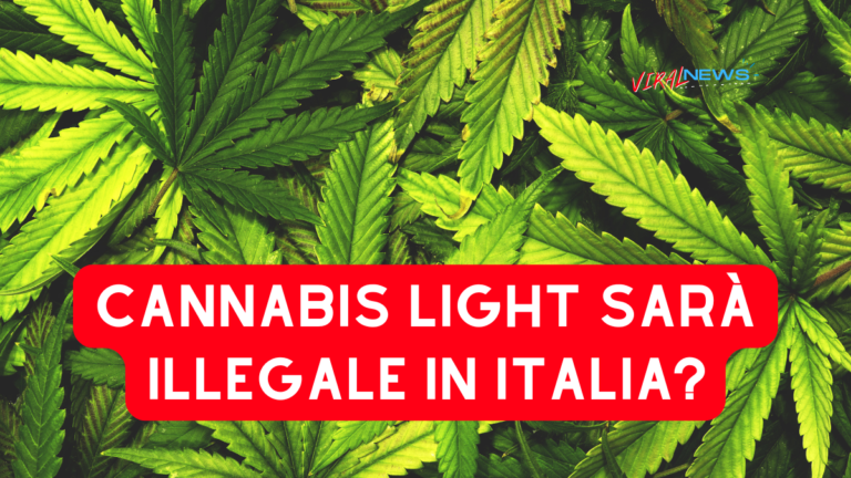 Cannabis light illegale in italia lo stop del governo