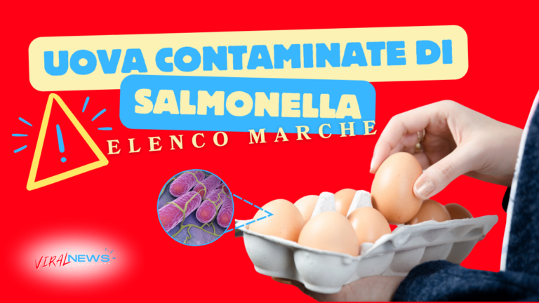 allarme uova contaminate di salmonella nei supermercati 2024