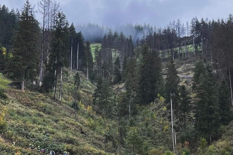 Tragedia sulle Alpi: un viaggio fatale tra fango e alberi