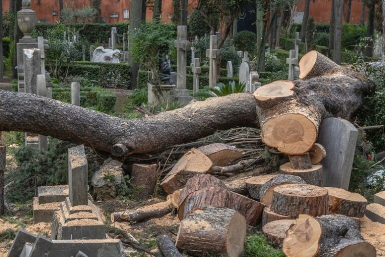 Dramma nel Cuore Storico di Roma: un Gigante Verde si Accascia