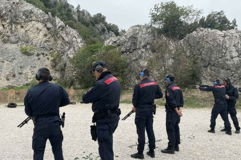 Il Nuovo Battaglione Verde: 50 Carabinieri Contro Lupi e Orsi Troppo Familiari