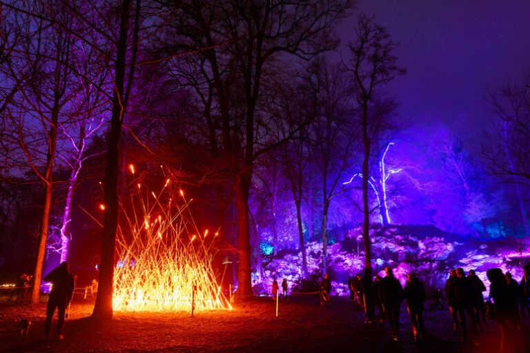 Luminarie da Sogno a Roma: L'Orto Botanico si Illumina di Arte e Magia