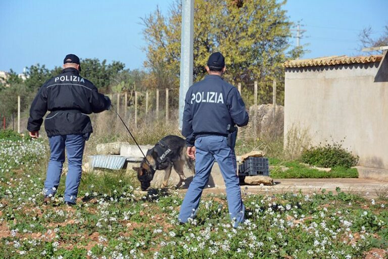 Mistero e Speranza a Cogollo: Nuova Caccia al Segreto di Ana Maria Henao