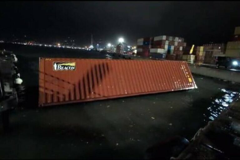 Tempesta a La Spezia: Alberi a Terra e Container in Mare Tra i Danneggiamenti