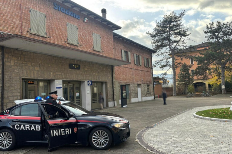 Un Treno di Emozioni: Aggressione e Giustizia sul Regionale di Bologna