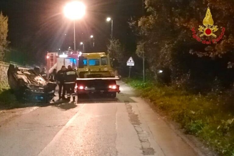 Incontro Notturno con un Cinghiale: Incidente e Fortuna sulla Statale 88