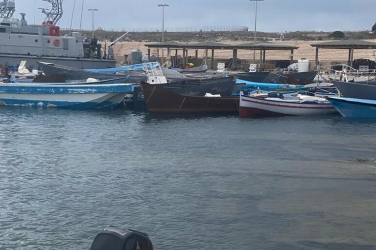 L'alba di Lampedusa: Una Piccola Eroina Attraversa il Mare