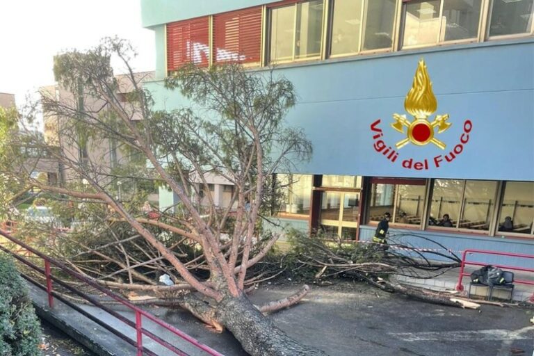 Tragedia Sfiorata a Salerno: Albero Cade su Studenti Senza Preavviso Meteo