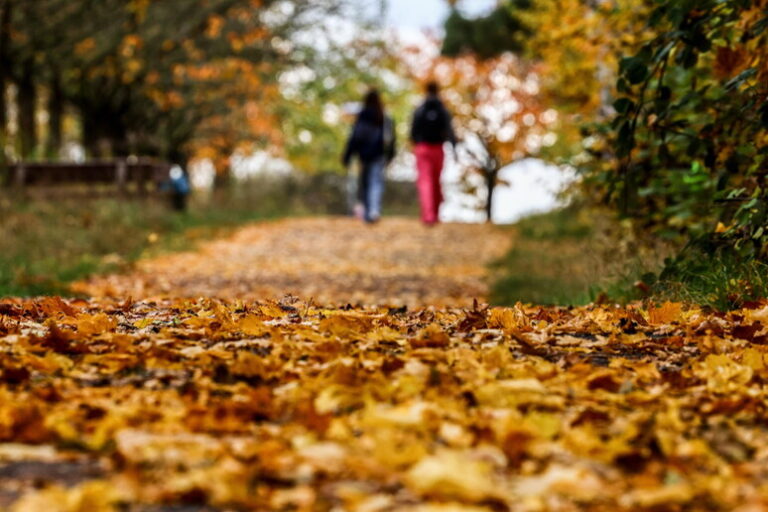 Gennaio Schizofrenico: quando l'Inverno si traveste da Autunno