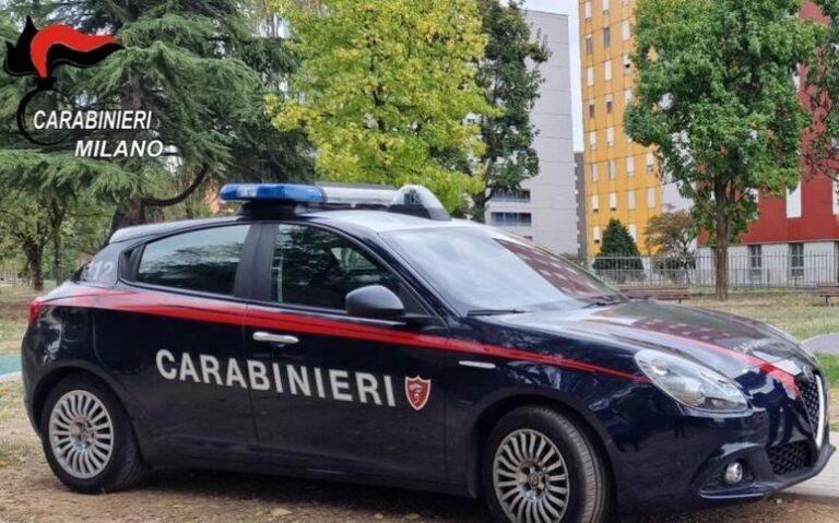 Terrore al Parcheggio: Arresto e Ricerca di un Branco a Milano