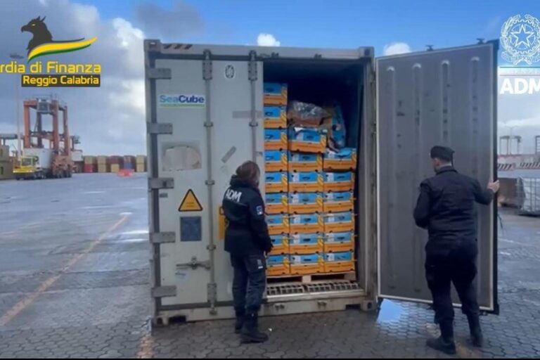 Colpo al Narcotraffico: Scoperti 788 Kg di Cocaina nel Porto di Gioia Tauro