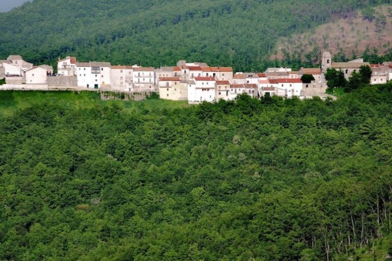 Il Silenzio Digitale di Celle di San Vito: Un Grido per la Connessione