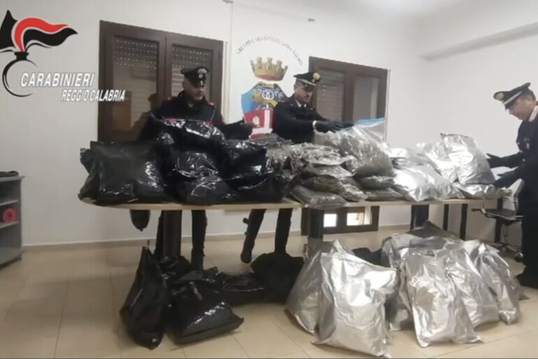 Operazione "Profondità Verde": Scoperta a Gioia Tauro un'Ingegnosa Stanza Segreta e 80 Kg di Marijuana