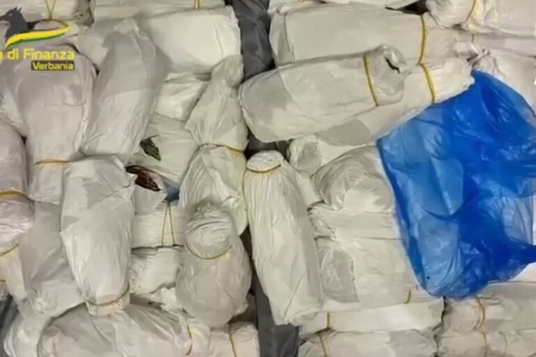 Sotto i riflettori al confine: sequestrati 40 kg di Khat a Iselle di Trasquera