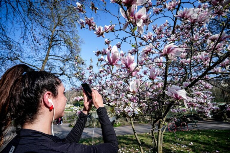 Un Soffio di Primavera: il Caldo Arriva in Anticipo!